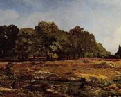 阿尔弗莱德 西斯莱 : Avenue of Chestnut Trees near La Celle-Saint-Cloud